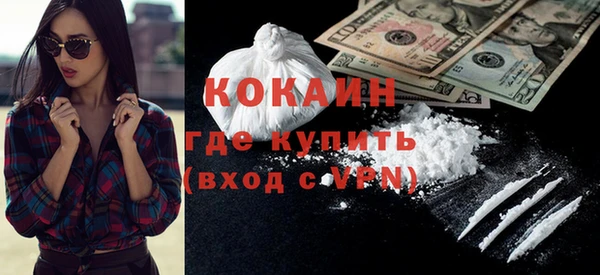 шишки Армянск