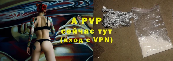 шишки Армянск