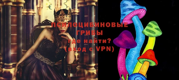 винт Арсеньев