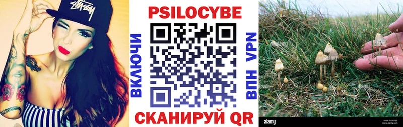 Псилоцибиновые грибы Psilocybe  дарк нет какой сайт  Сердобск  цены наркотик 
